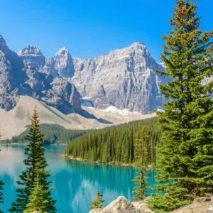 Aide ménagère déclarée – 6h/semaine Charvonnex