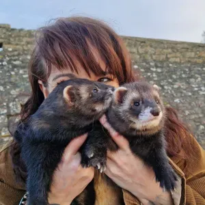 Animatrice pédagogique depuis 10ans. 