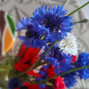 Recherche baby-sitter - garde d'enfants à Montbrison