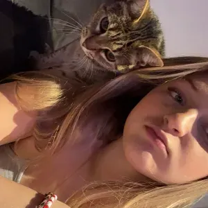 Baby-sitter créative à  Montpellier 