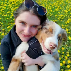 Pet-sitter sur Gap : pour le mois de juillet 