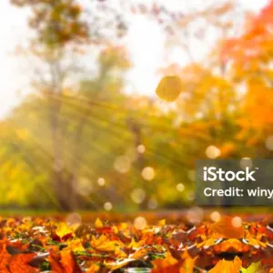 Aide aux personnes âgées