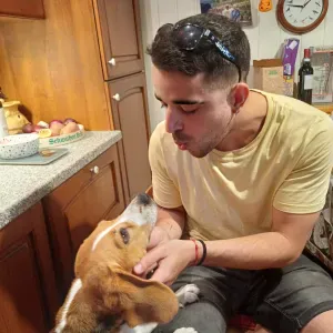 Full time pet sitting in Bern 