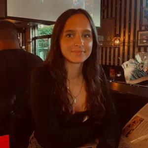 Baby-sitter expérimenté sur Lisses.  