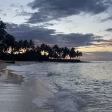 Baby-sitter très expérimenté !!