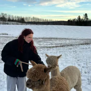 Une présence douce et rassurante pour vos compagnons 🐱🐶