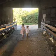 Recherche aide ménagère à Agde