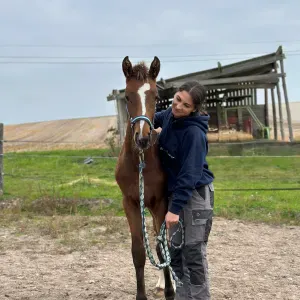 Pet-sitter à Orléans, durant les week-ends 