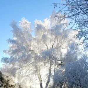 Je recherche une assistante maternelle 