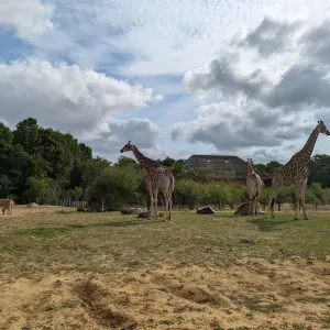 Emploi de femme de ménage Nantes