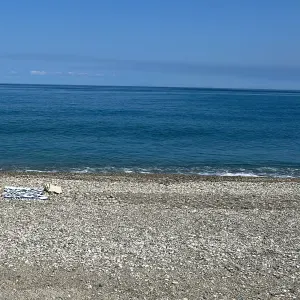 Cerco aiuto per pulizie  domestiche