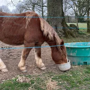 Je cherche une nounou à domicile