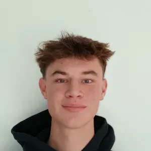 Baby-sitter expérimenté Tervuren, Woluwe...