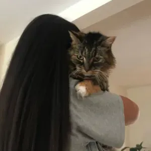 Promenades pour vos animaux de compagnie