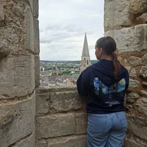 Pet-sitter sur Épinal et alentours 