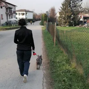 Pet sitting a Noventa Padovana