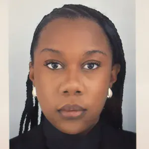 Baby-sitter expérimenté dans le 60 et le 77. 