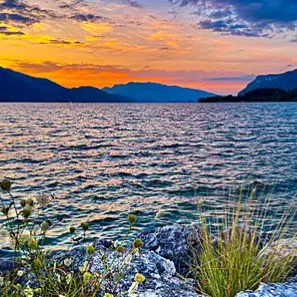 Baby-sitter avec 7 ans d'expérience à Plainpalais