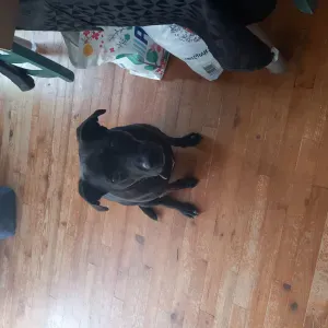 Aide-Soignante pour personnes ayant des besoin