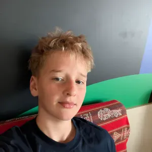 Dog sitting a Niort ( plutôt centre ville ) 79000