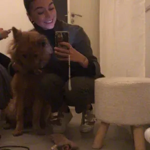 Pet-sitter à Miramas et alentours  