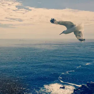 Je cherche un(e) aide ménagère près de chez moi