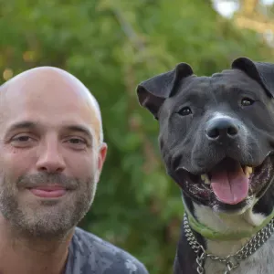 Dog Sitting e Educazione Cinofila in provincia di Venezia