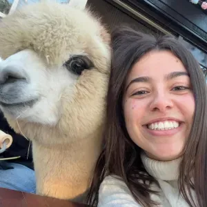 Pet Sitting perto da Avenida da Boavista 🦙