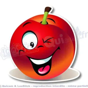 Aide à domicile, repassage, ménage...