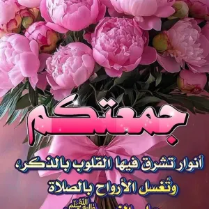 certificat garde enfants assistante maternelle 