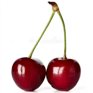 Pet-Sitter Luxembourg expérience 