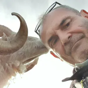 Le sérieux du professionnel, la bienveillance du refuge