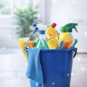 Femme de ménage et repassage à Lyon 07