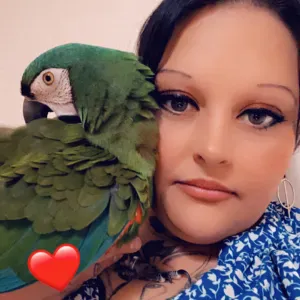 Réponse à l'offre d'emploi