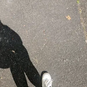 Pet-sitting cransac , aubin ou decazeville 