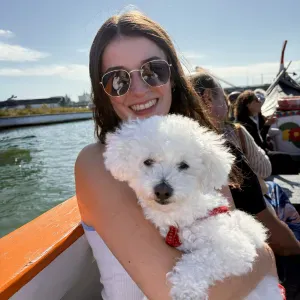 Pet sitting em Aveiro. 