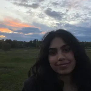 Babysitter available part time in Frankfurt