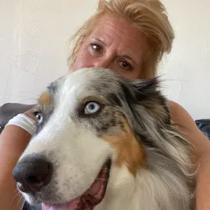 Pet sitter 77 et alentours …….