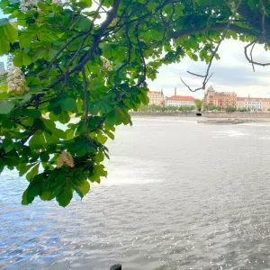 Auxiliaire de vie diplômé d état 