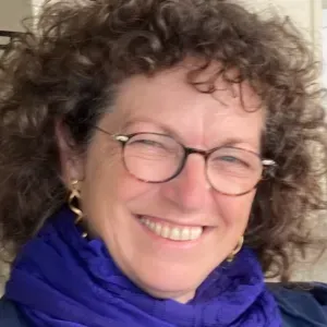 Femme de ménage à Roussillon ou alentour