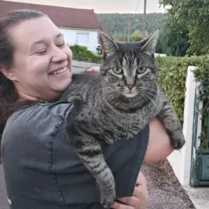 Cat-sitteuse à Paris et St Ouen 🌼