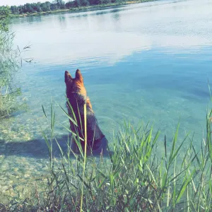 J'adore m'occuper des animaux