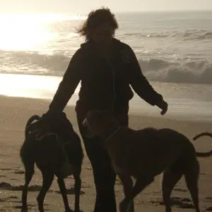 Offre d'emploi pour un(e) petsitter à Boucau