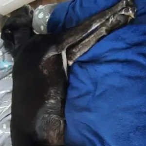 Cours de physique pour collégiens – lycéen en première