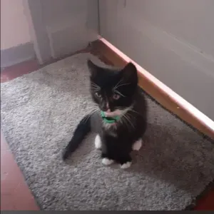 Aide à domicile pour vos aînés à Mulhouse 