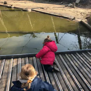 Baby sitting occasionnel - Alfortville