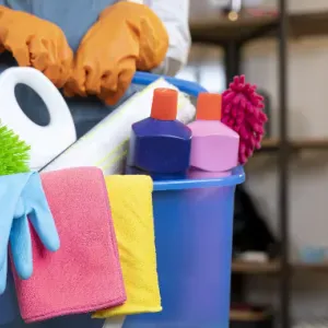 Aide ménagère , Aide à domicile 