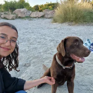 Besoin d'un pet sitter de confiance ?