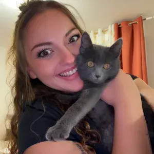 Baby sittinhg / ménage / animaux 