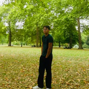 pet sitting em póvoa de varzim 